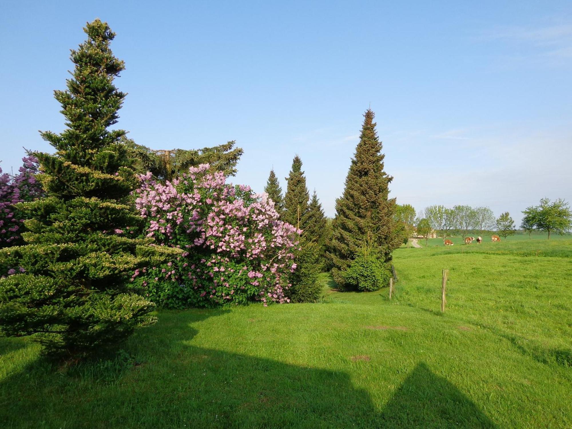 Pension Sonnenhuegel Markersdorf Exteriér fotografie