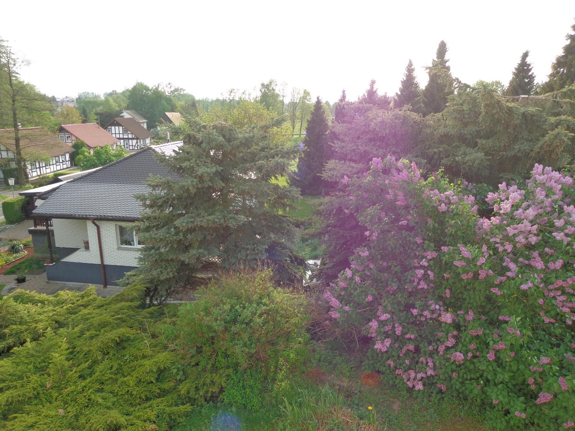 Pension Sonnenhuegel Markersdorf Exteriér fotografie
