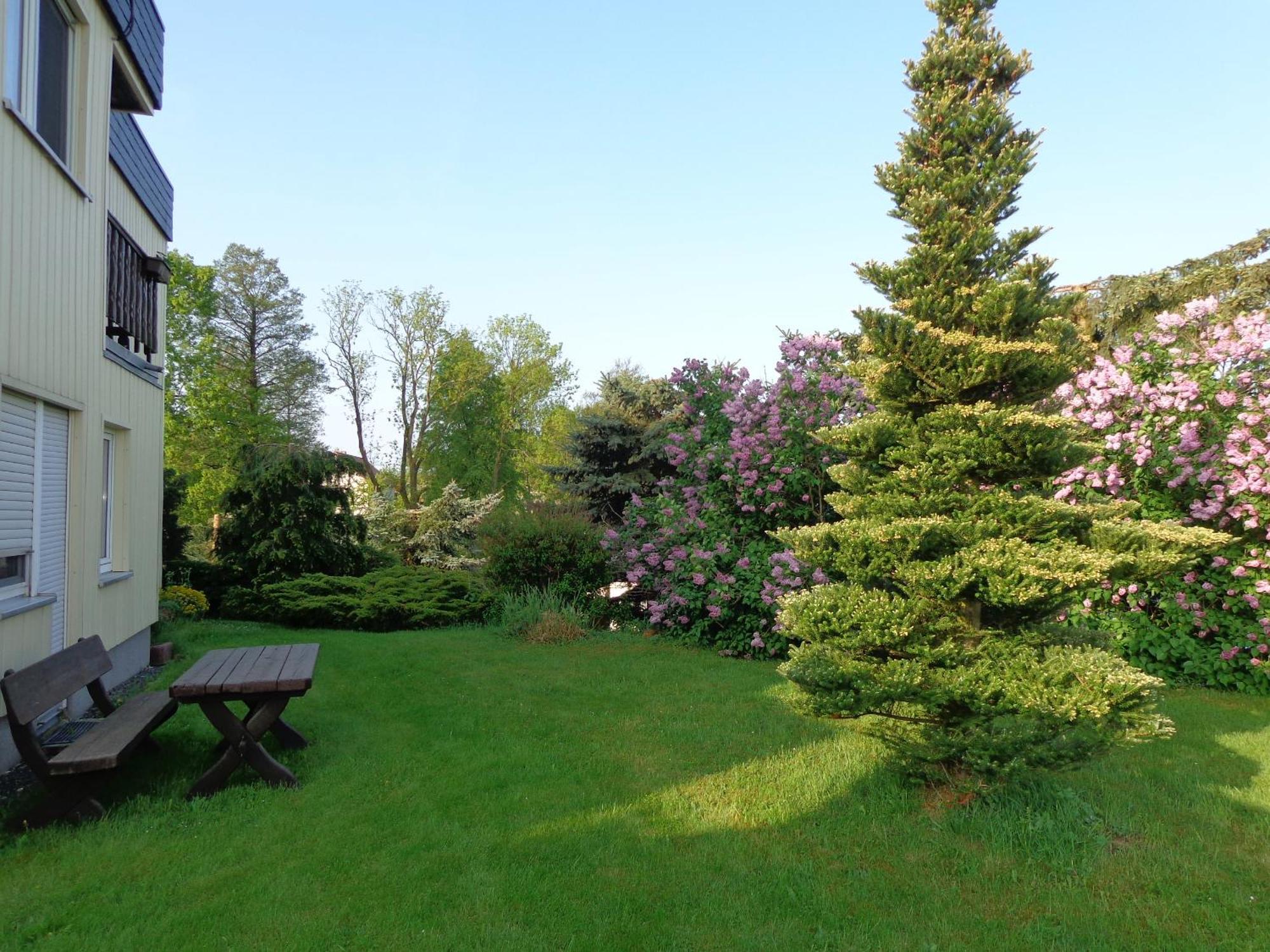 Pension Sonnenhuegel Markersdorf Exteriér fotografie